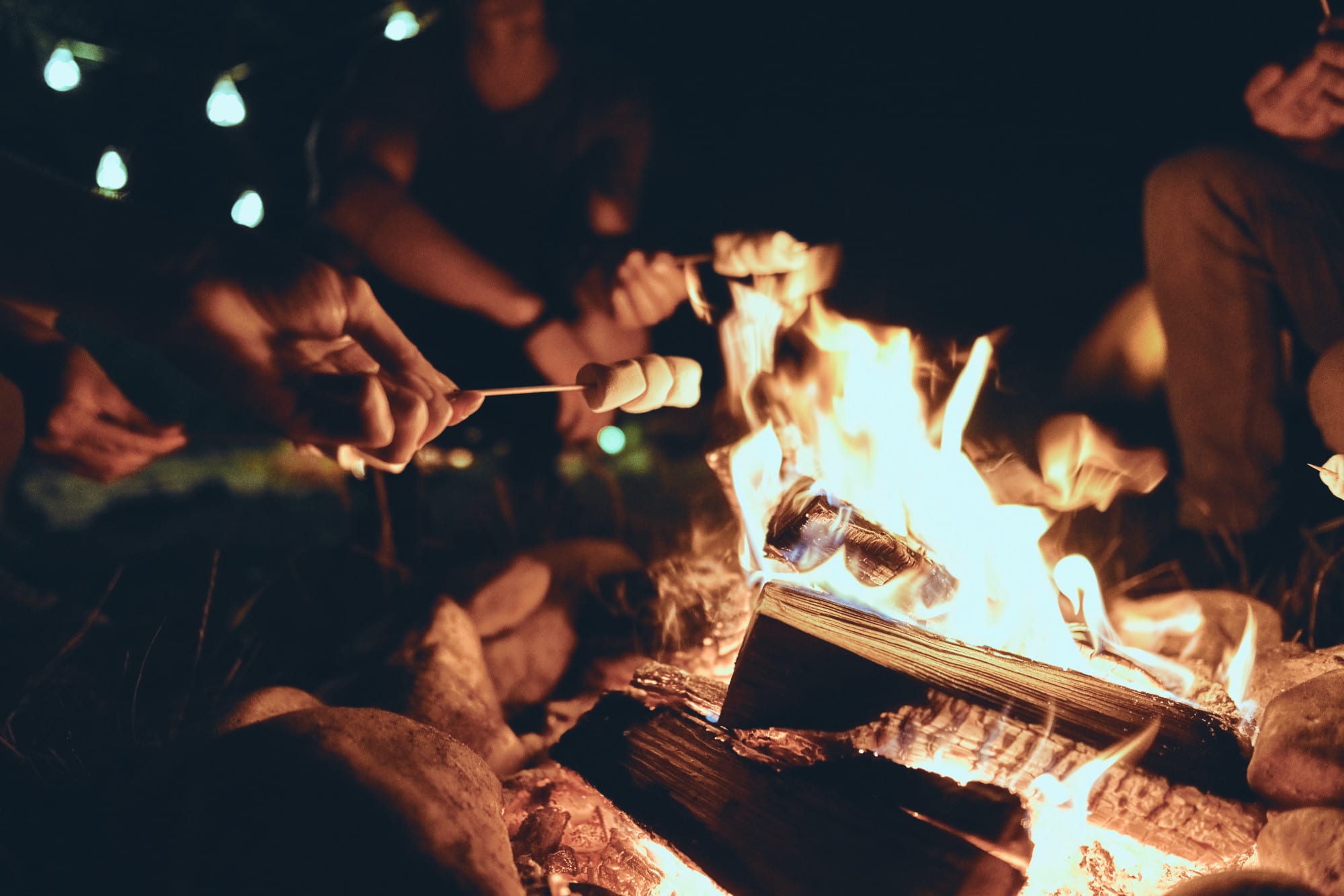 Toasting marshmallows over a campfire