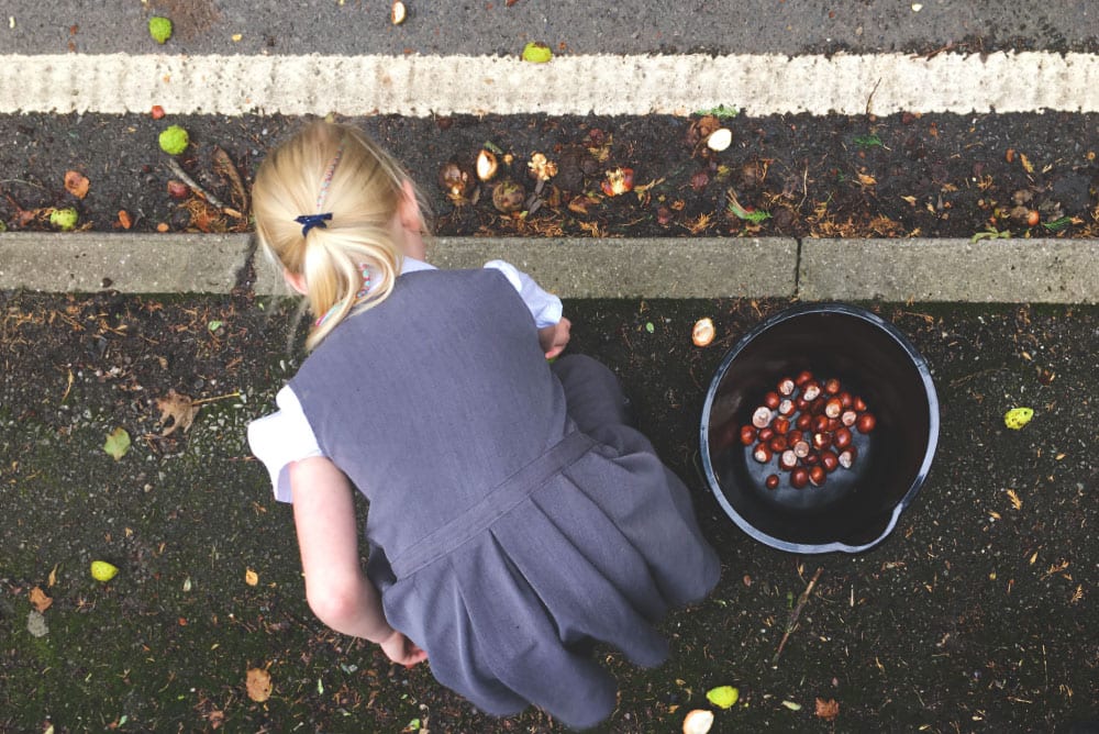 Girl collecting conkers