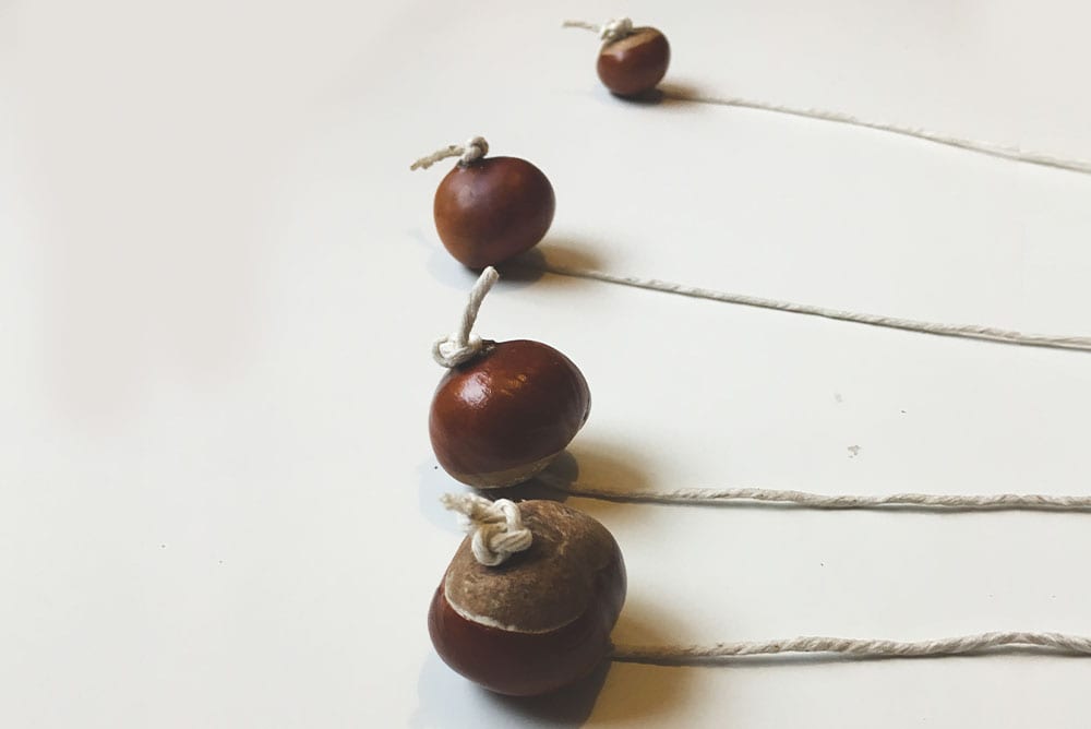 Conkers in a row
