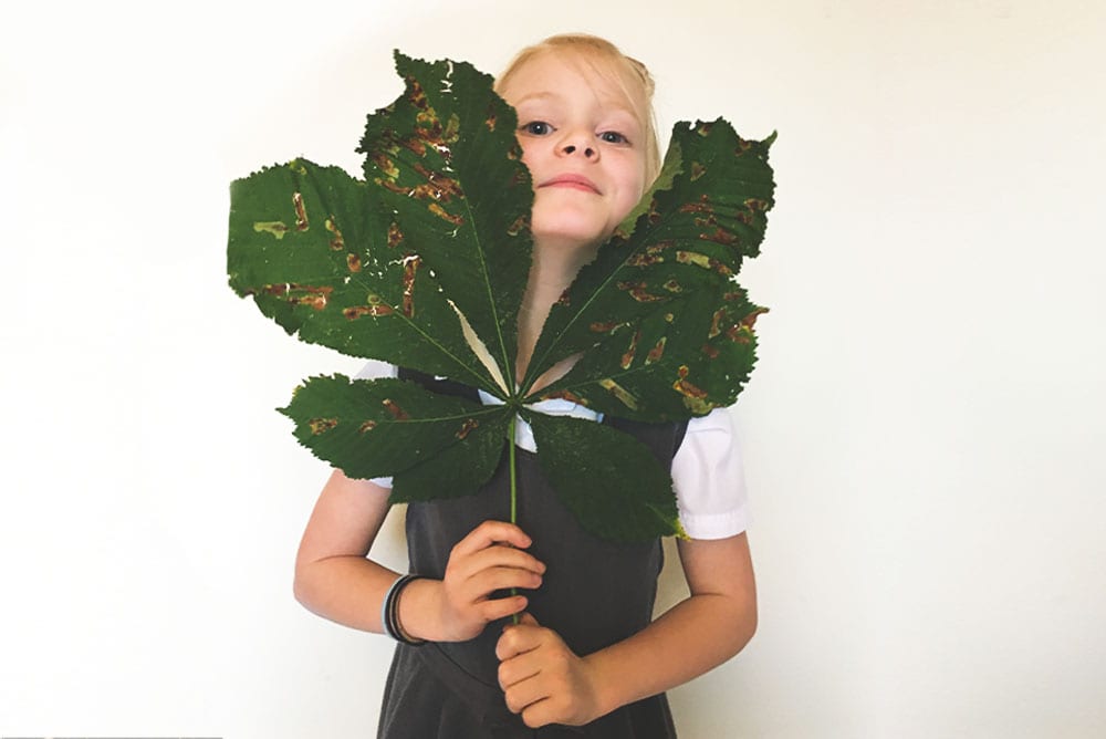 Child with conker leaves