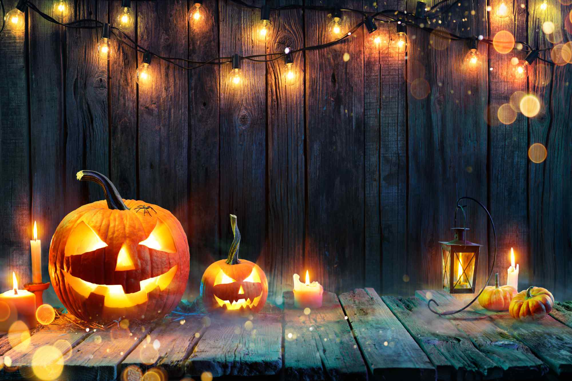 Pumpkins with fairy lights Halloween background
