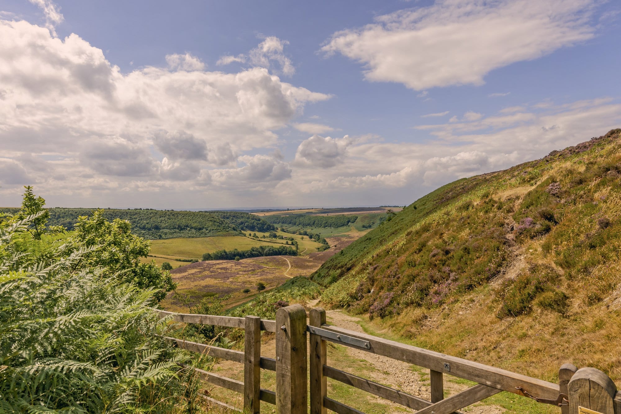 A deep valley in the North York Moors.