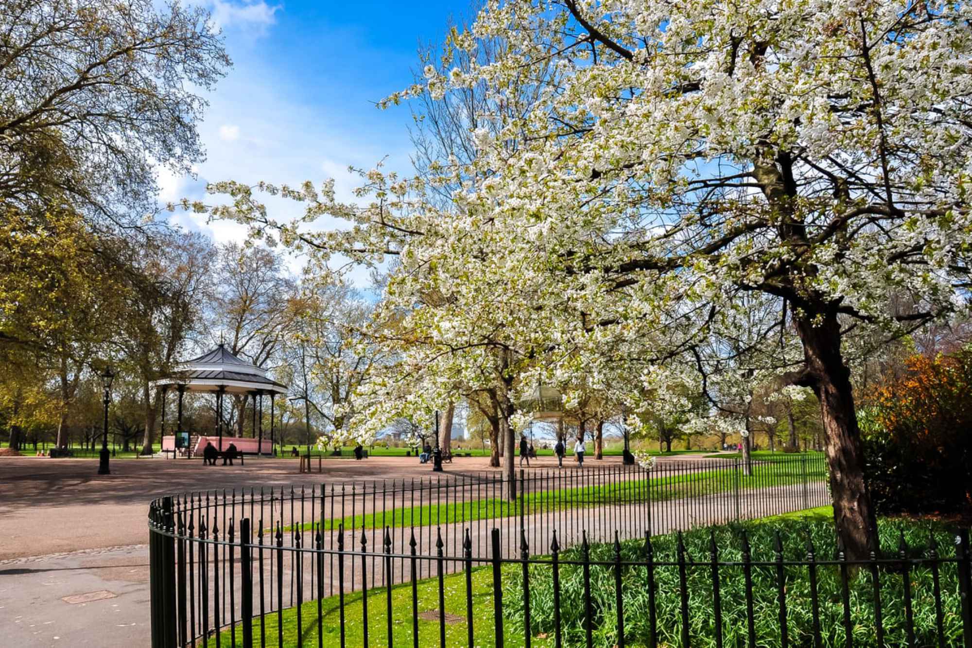 Spring blossoms in Hyde Park