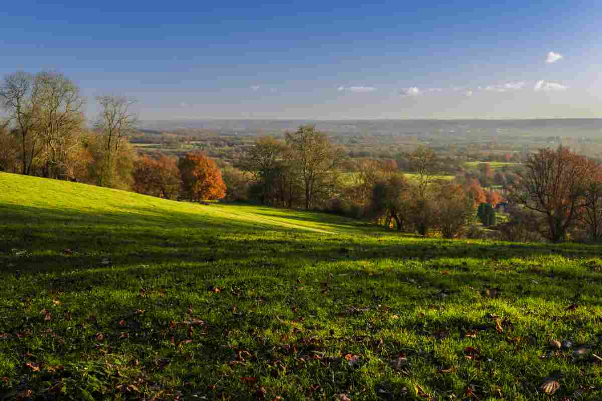 Autumn morning in the South Downs National Park