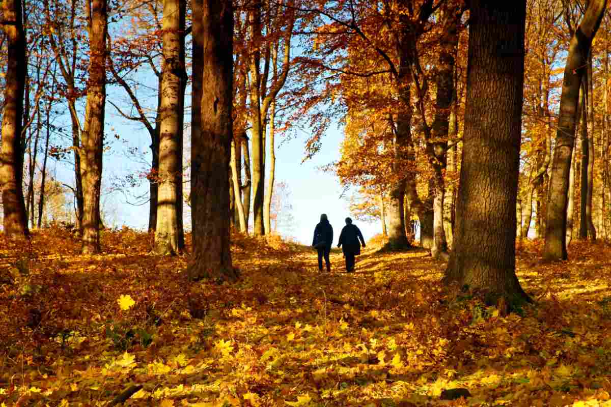 Mature couple walking in colorful autumn park