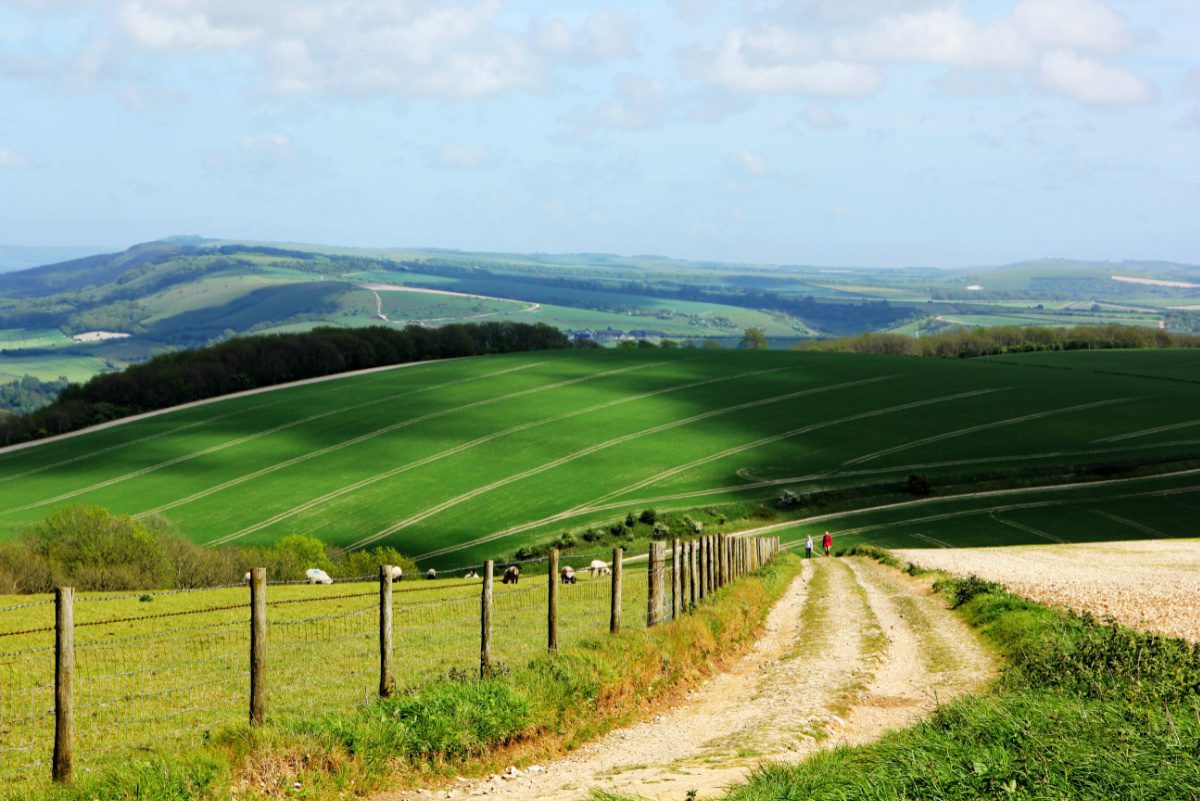 South Downs National Park view