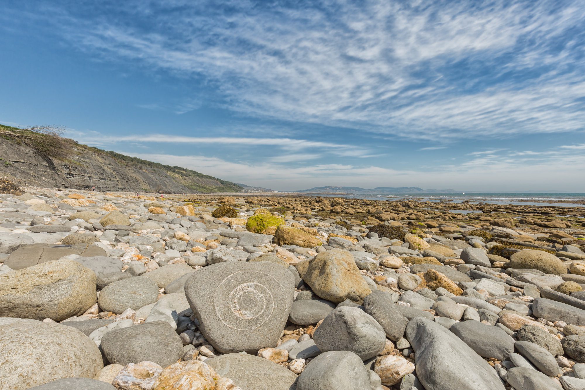 An amonite on a beach close to Lyme Regis