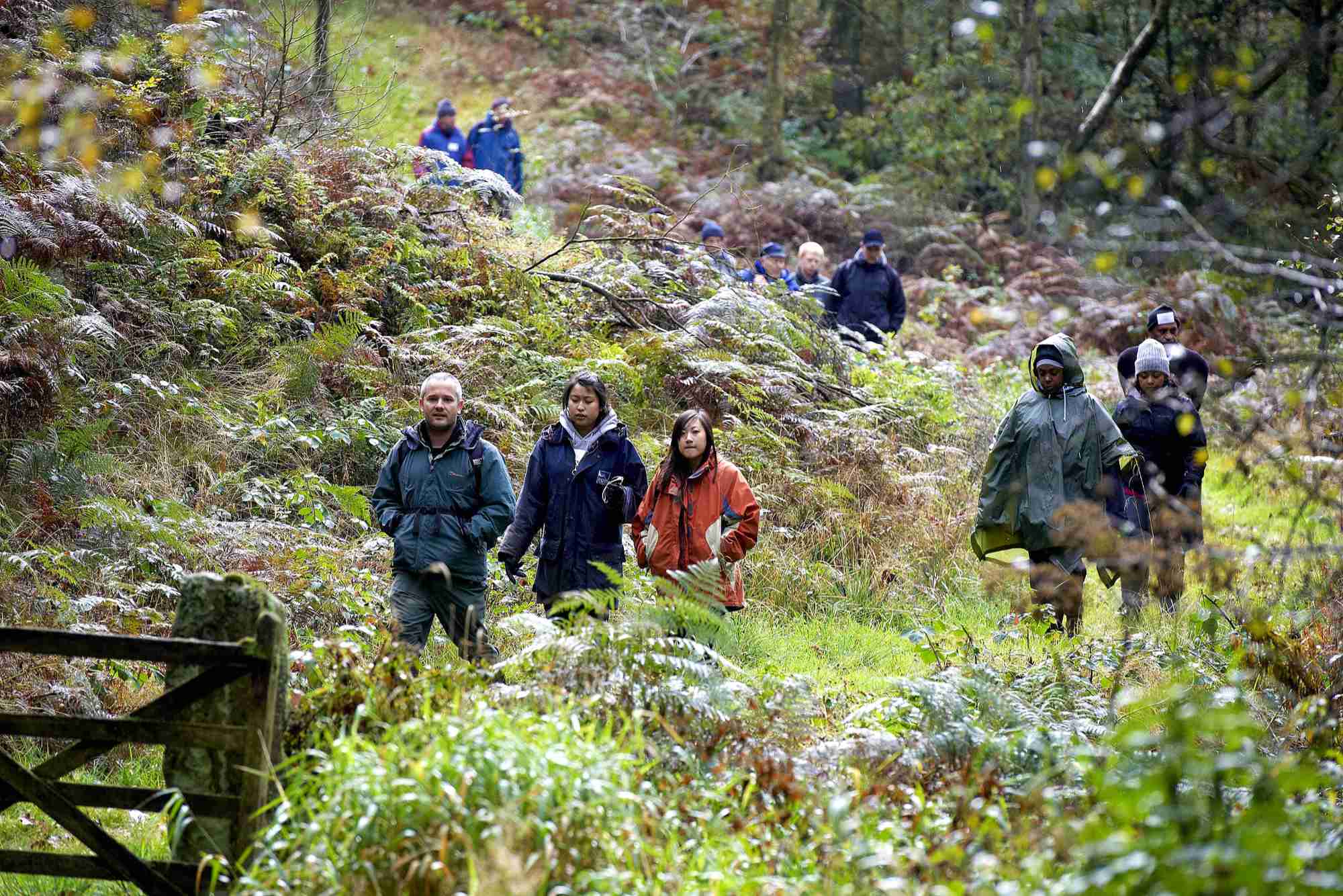 A group of walkers in the Peak District National Park