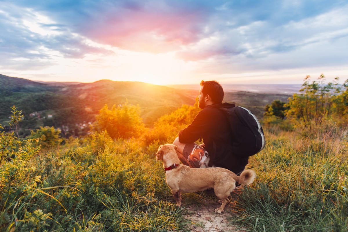 Man with dog watching sunset