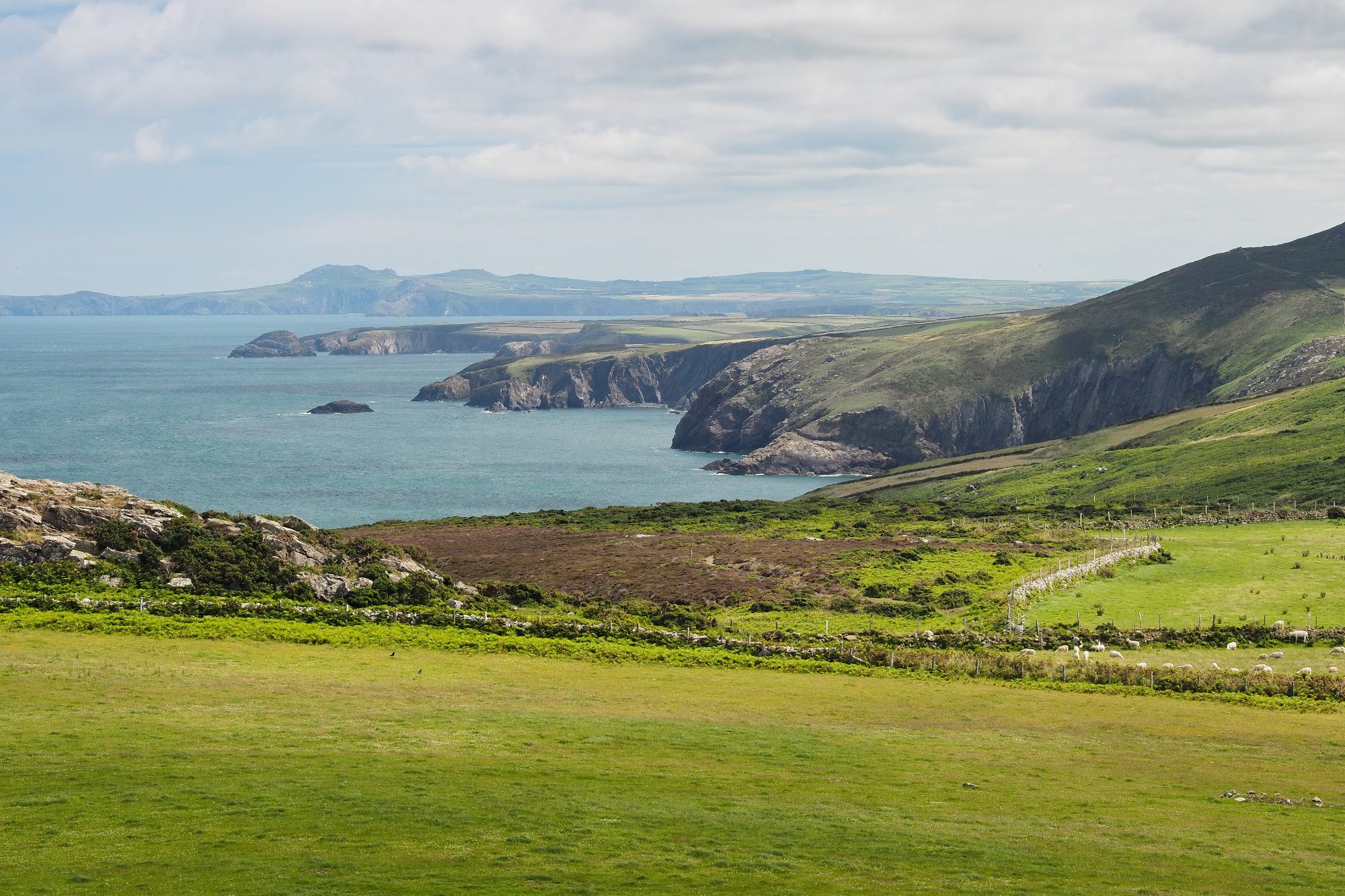 View from the St Davids peninsula of the coves, cliffs and rocky outcrops along the dramatic coastline, Pembrokeshire Coast National Park, Wales, UK