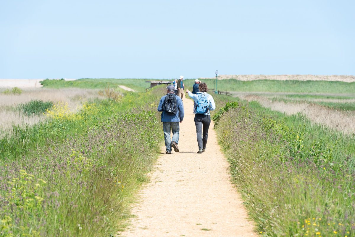 People walking in the cley marshes