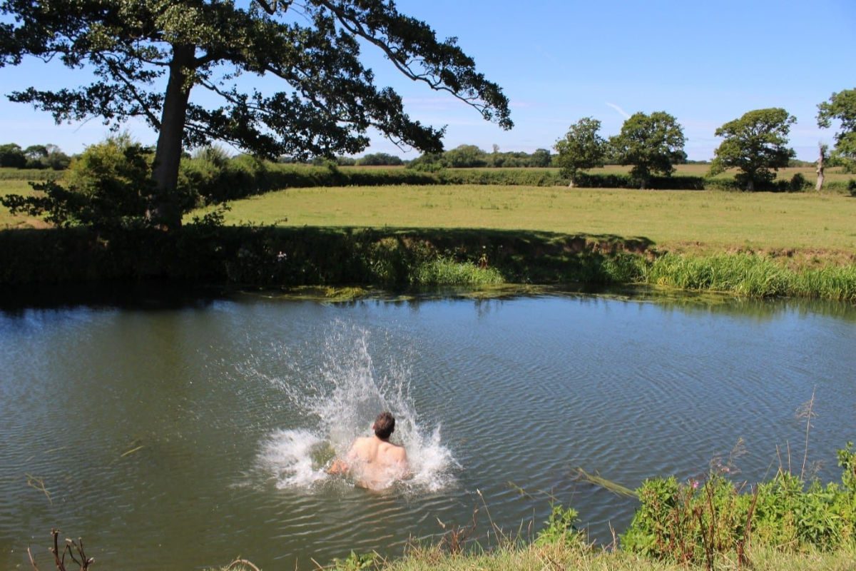 Person wild swimming in a lake