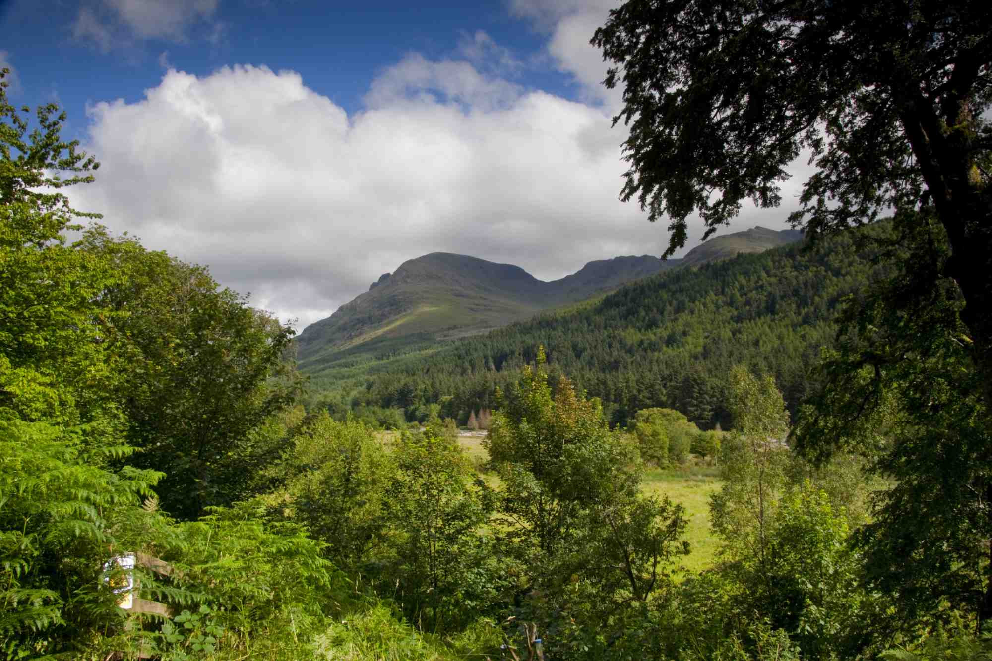 The view from YHA Ennerdale