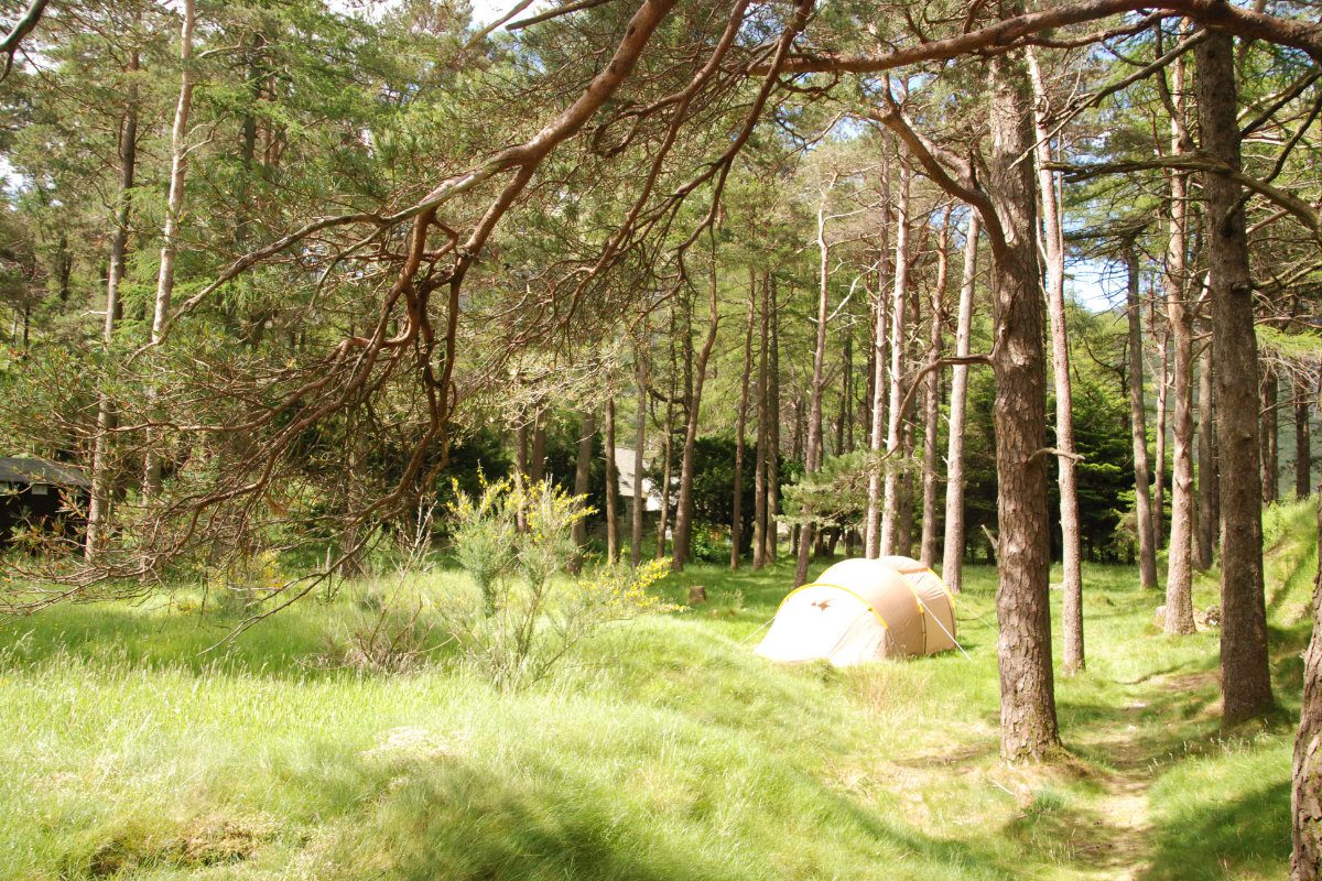 Camping at YHA Idwal Cottage