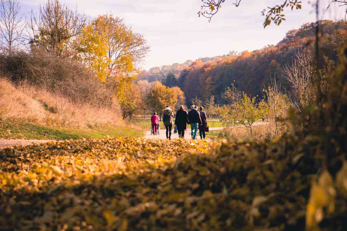Family Walking Through beautiful golden autumn landscape
