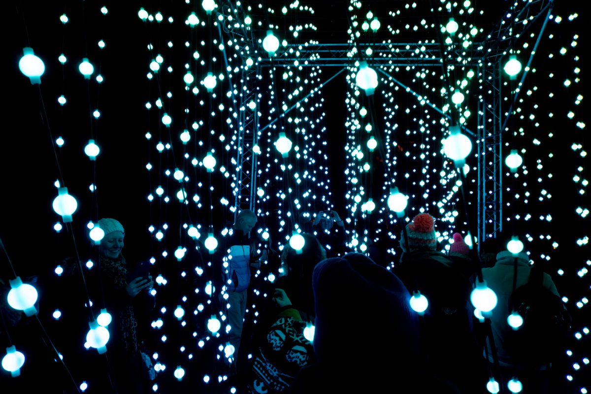 Christmas at Kew - a festival of light at Kew Royal Botanic Gardens