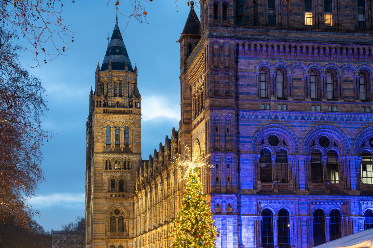 Christmas tree in front of Natural History museum in London