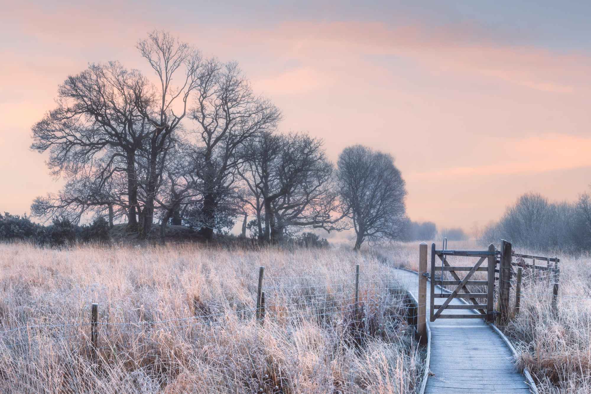 English Winter Landscape Scene