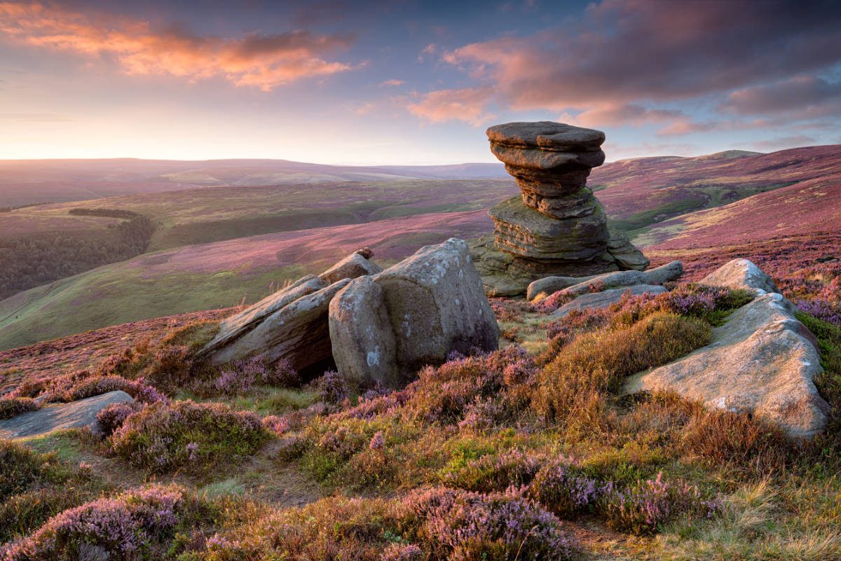 Peak district view of heather and moorland