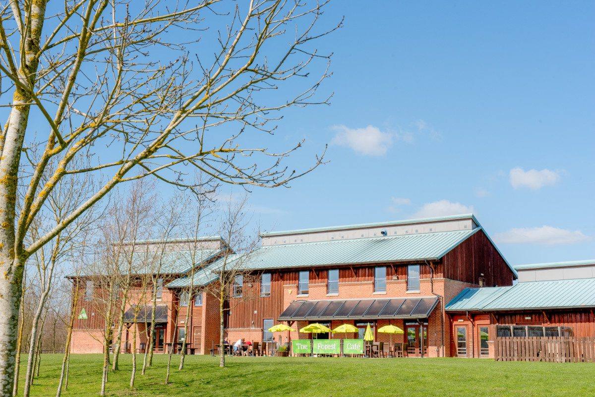 YHA National Forest on a sunny day