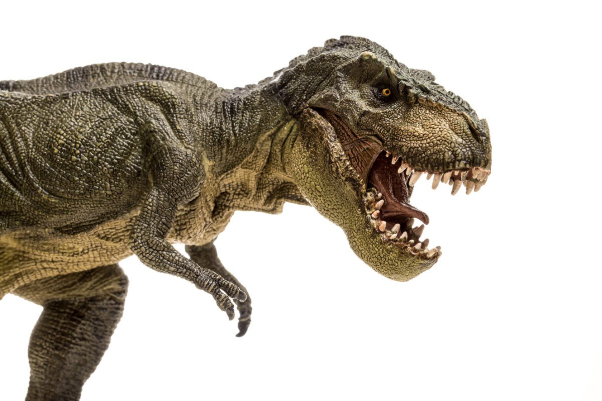An extreme closeup view of an ominous T-rex figure against a white background 