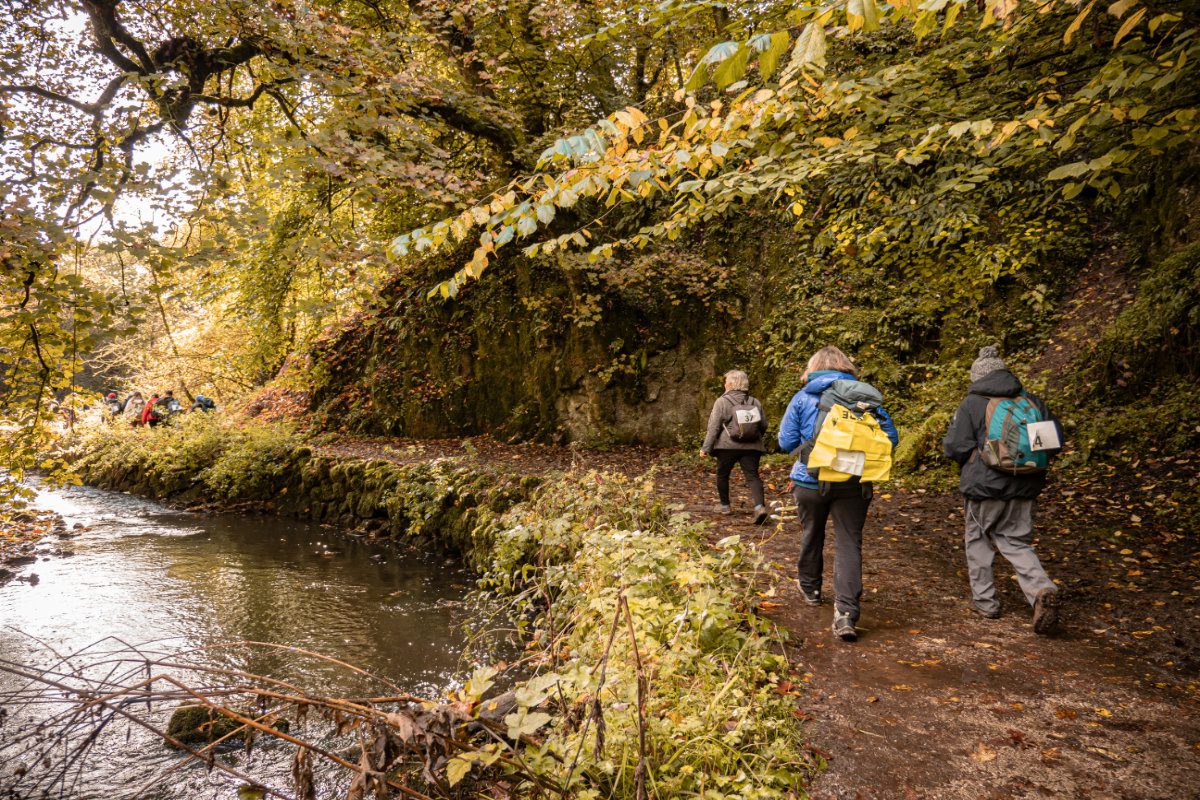 Walkers on an autumnal footpath in the woods