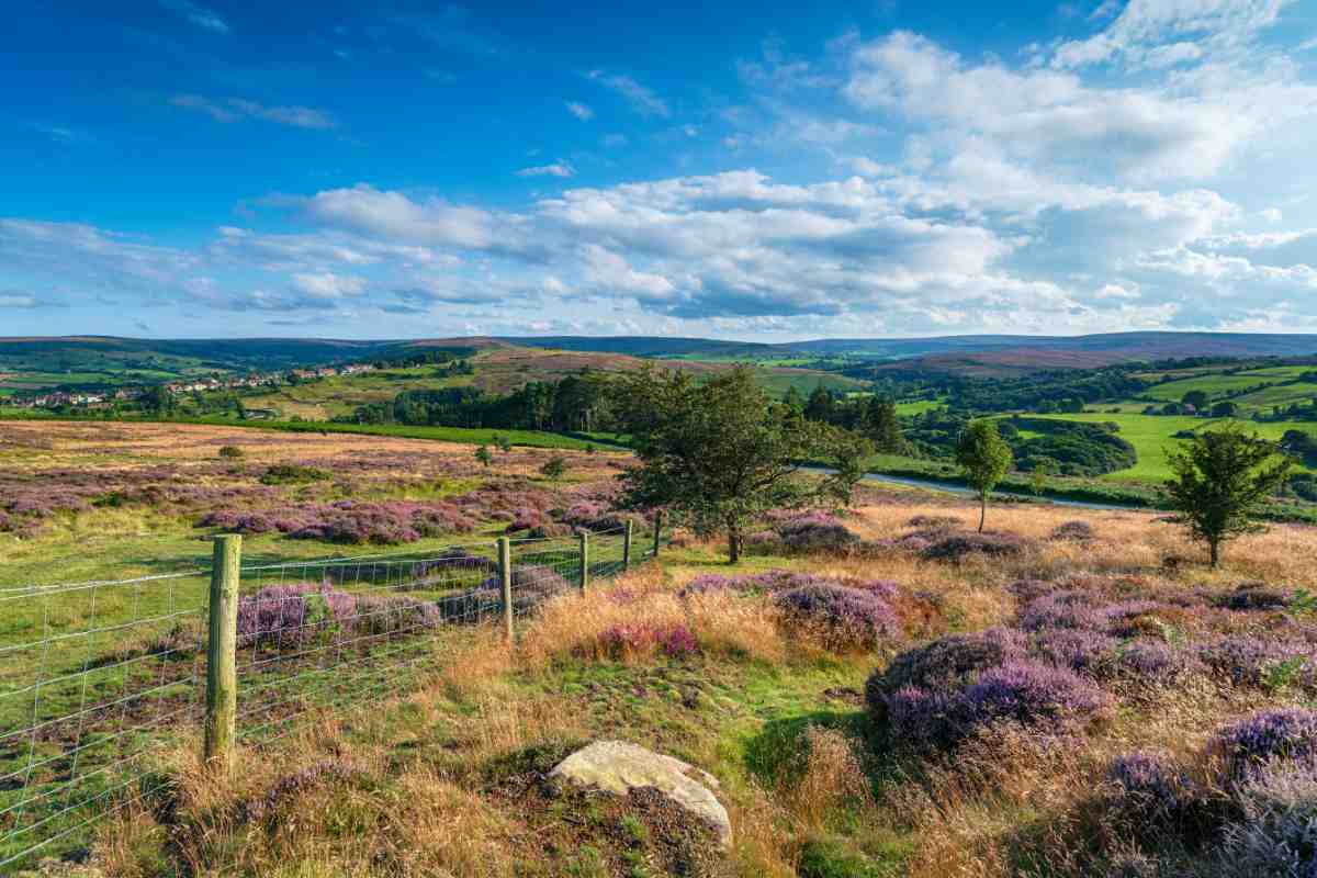 The North York Moors National Park in Yorkshire