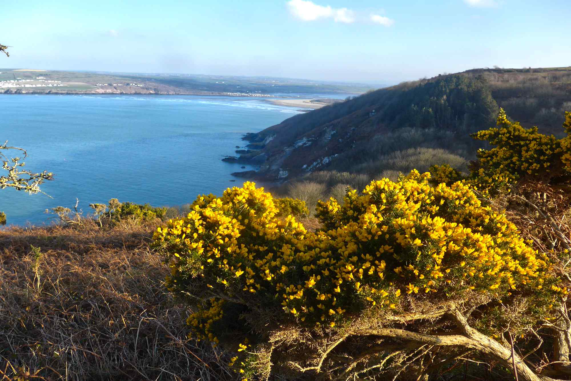 The Pembrokeshire Coast Path 30 minutes away from YHA Poppit Sands