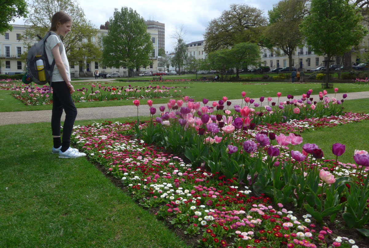 Cheltenham Tulip Gardens