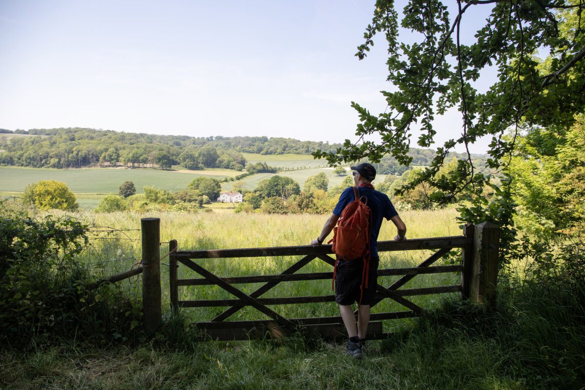 Person looking over a field