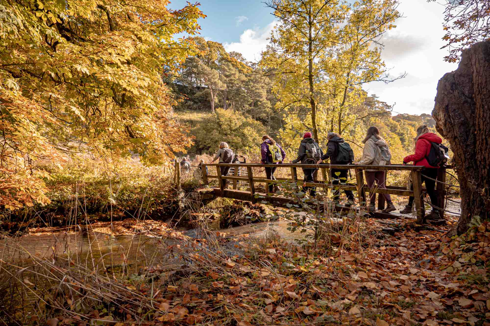 Group of walkers going over a bridge
