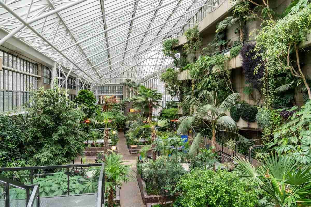 Beautiful greenhouse Conservatory garden inside Barbican center,  with green and fresh tropical plants in London, UK