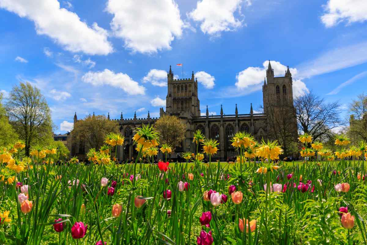 Spring blooming in front of the Bristol Cathedral.