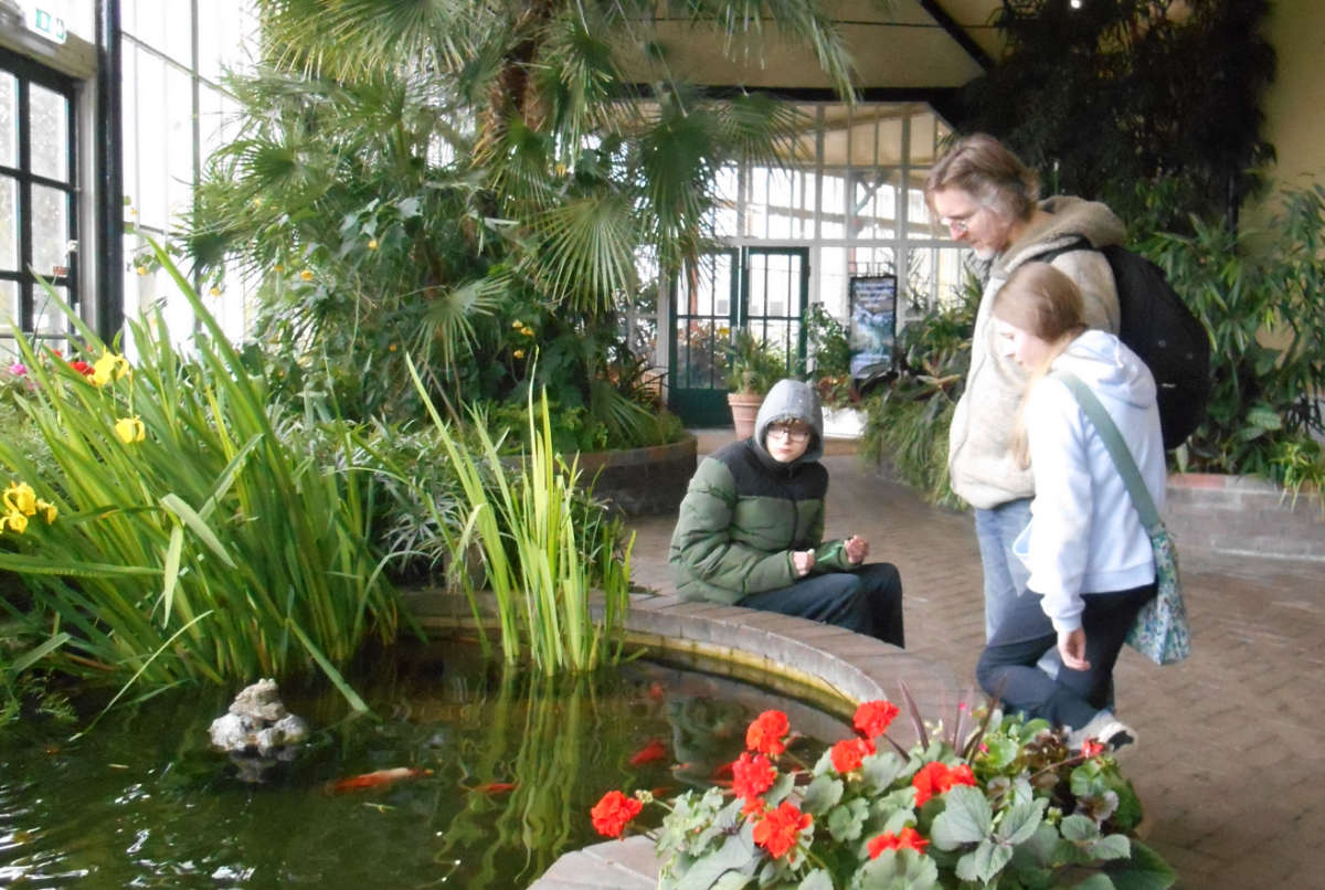 Buxton pavilion gardens conservatory