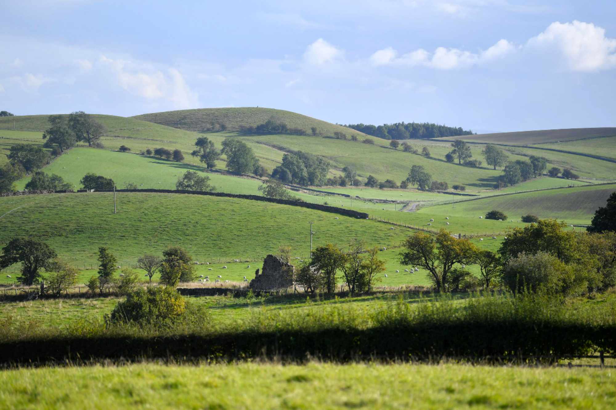 Yorkshire Dales countryside